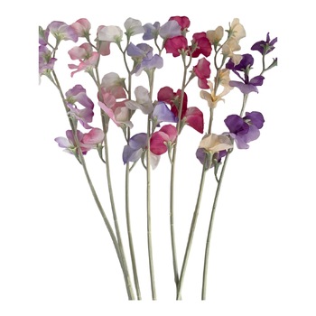 thumb_63cm Sweet Pea Stem - Sage Green