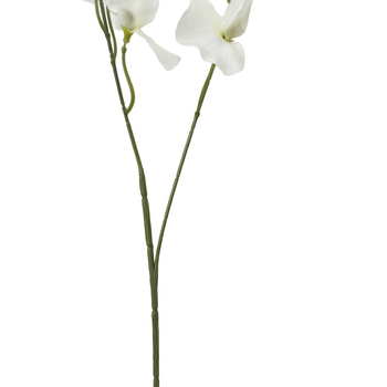 thumb_100cm Sweet Pea Stem - White