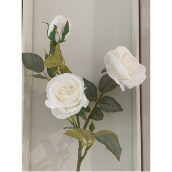 thumb_70cm - White/Cream 3 Head Rose Stem