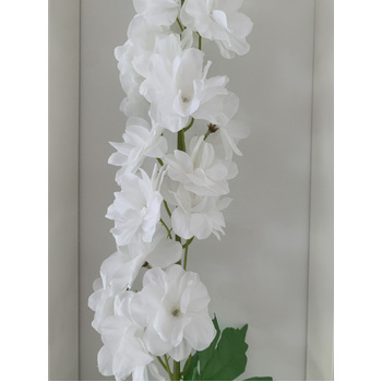 thumb_Delphinium - 100cm - White