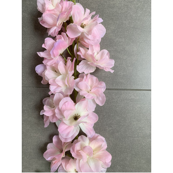 thumb_Delphinium - 100cm - Pink