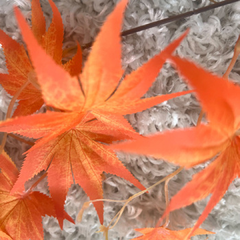 thumb_2pc Set - 1.8m Japanese Maple Garland - Autumn Orange