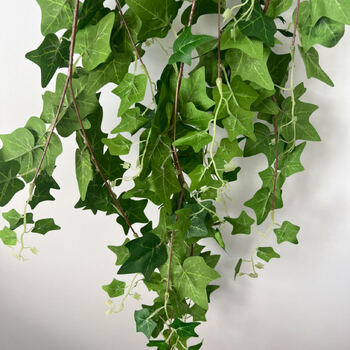 thumb_ 140cm High Quality Trailing Ivy Bush - Green