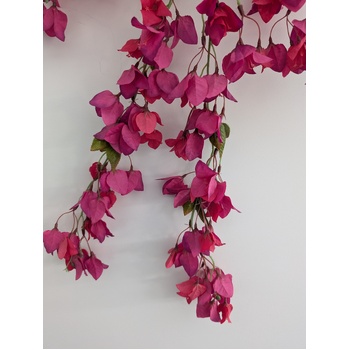 thumb_128cm - Fuchsia Trailing Bougainvillea