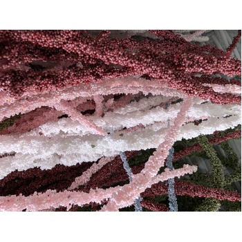 thumb_100cm Pink Cascading Amarantus