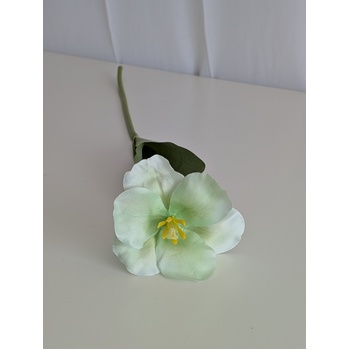 thumb_Soft Green Single Stem Open Tulip 65cm