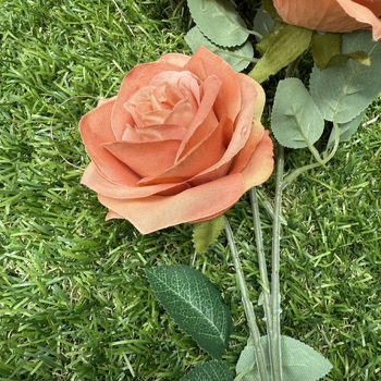 thumb_65cm - 3 Head Open Rose Flower Stem - Autumn/Dusty Orange