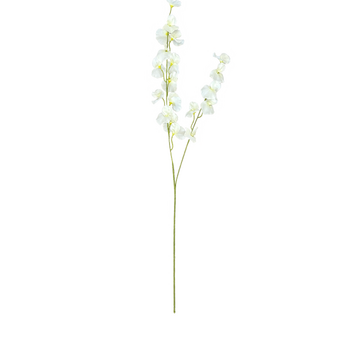 thumb_100cm Sweet Pea Stem - White