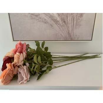 thumb_60cm - Nude Single Stem Rose