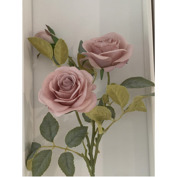 thumb_70cm - Mauve 3 Head Rose Stem