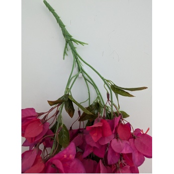 thumb_128cm - Fuchsia Trailing Bougainvillea