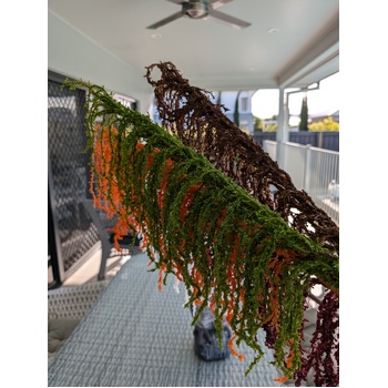 thumb_90cm Green Amaranthus Branch