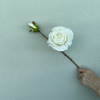 thumb_66cm White Artificial Rose Stem with Large Bloom and Bud