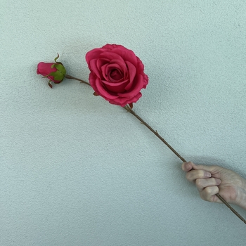 thumb_66cm Fushia Artificial Rose Stem with Large Bloom and Bud