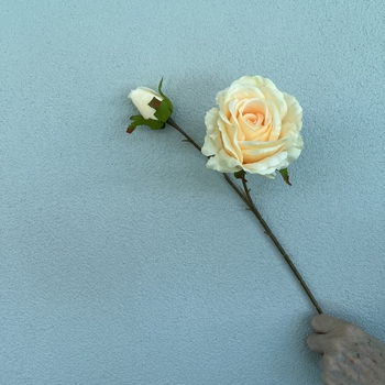 thumb_66cm Cream Artificial Rose Stem with Large Bloom and Bud