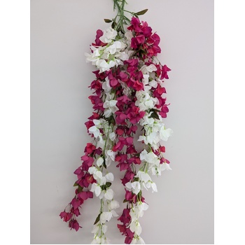 thumb_128cm - Fuchsia Trailing Bougainvillea