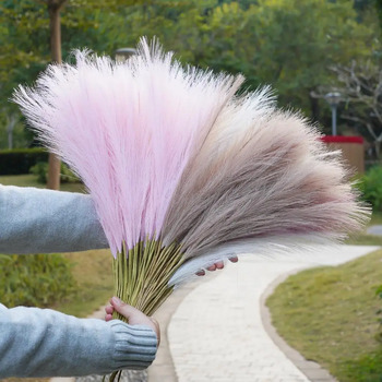 thumb_80cm Pampas Grass - Mauve