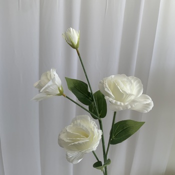 thumb_Lisianthus 4 head - 70cm - White