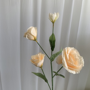 thumb_Lisianthus 4 head - 70cm - Peach