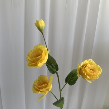 thumb_Lisianthus 4 head - 70cm - Yellow