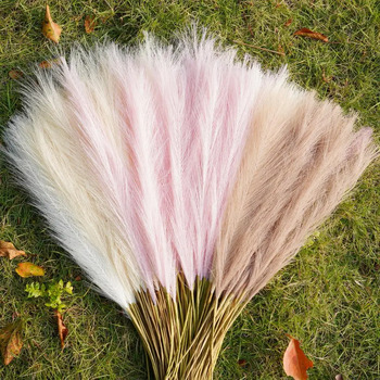 thumb_80cm Pampas Grass - Soft Peach