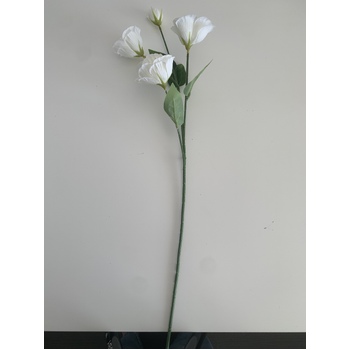 thumb_Lisianthus 4 head - 70cm - White