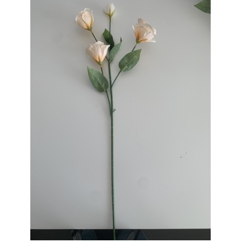 thumb_Lisianthus 4 head - 70cm - Peach