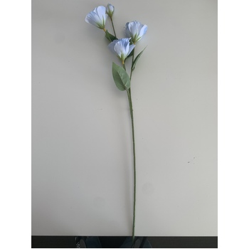 thumb_Lisianthus 4 head - 70cm - Blue