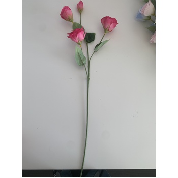 thumb_Lisianthus 4 head - 70cm - Fuschia