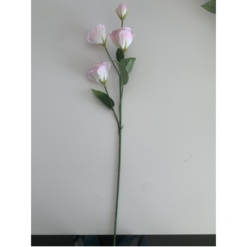 thumb_Lisianthus 4 head - 70cm - Soft Pink