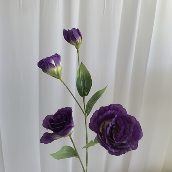 thumb_Lisianthus 4 head - 70cm - Purple