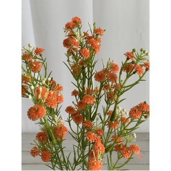 thumb_34cm Babies Breath/Gypsophillia Filler - Orange