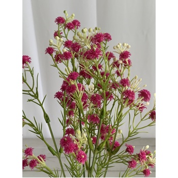 thumb_34cm Babies Breath/Gypsophillia Filler - Fuchsia