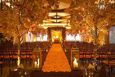 Wedding Decoration