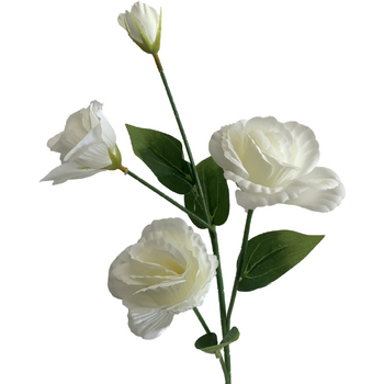 Lisianthus 4 head - 70cm - White