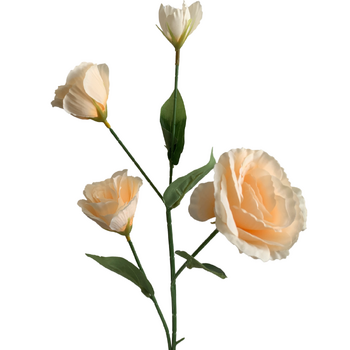 Lisianthus 4 head - 70cm - Peach