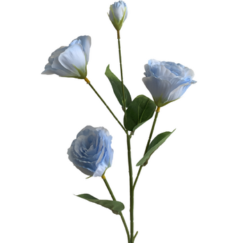 thumb_Lisianthus 4 head - 70cm - Blue