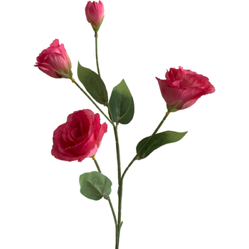 thumb_Lisianthus 4 head - 70cm - Fuschia