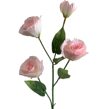 thumb_Lisianthus 4 head - 70cm - Soft Pink