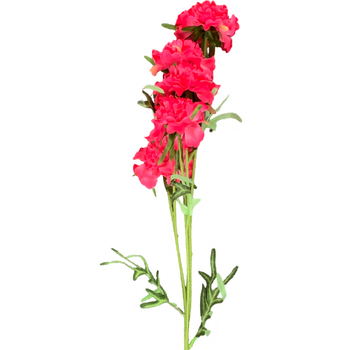 70cm Ruffled Carnation-Style Blooms - Fuchsia 