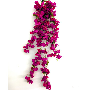 thumb_128cm - Fuchsia Trailing Bougainvillea