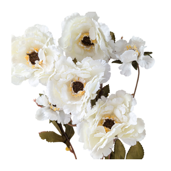 6 Head Peony 80cm Floral Stem - White/Cream