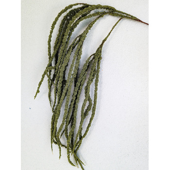 100cm Sage Green Cascading Amaranthus