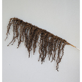 thumb_90cm Brown Amaranthus Branch