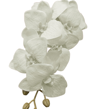 thumb_White/Off White Cymbidium Orchid 7 head - 75cm