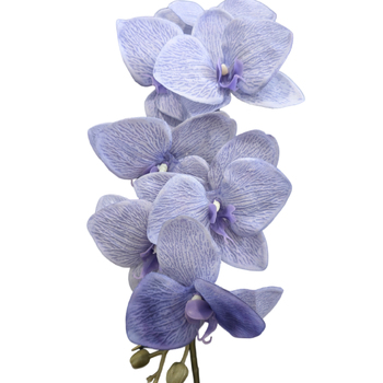 thumb_Dusty Lavender Cymbidium Orchid 7 head - 75cm