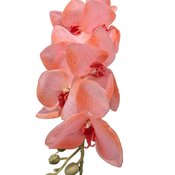 Peachy Pink Cymbidium Orchid 7 head - 75cm