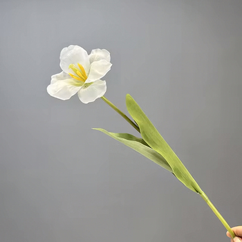 White Single Stem Open Tulip 65cm