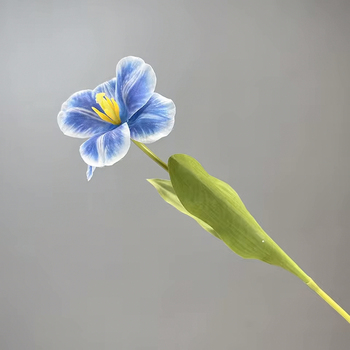 Dark Blue Single Stem Open Tulip 65cm