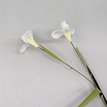  Iris Stem - 85cm White Artificial Stem